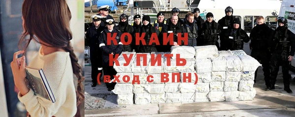 хмурый Алексин