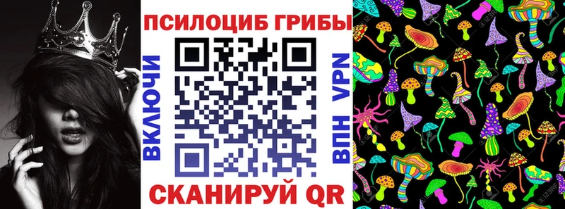 Псилоцибиновые грибы ЛСД  Дудинка 