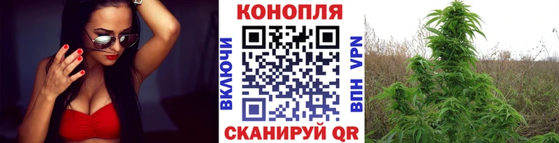 Каннабис конопля  Дудинка 